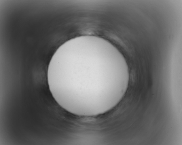 X0000088711446200706282033