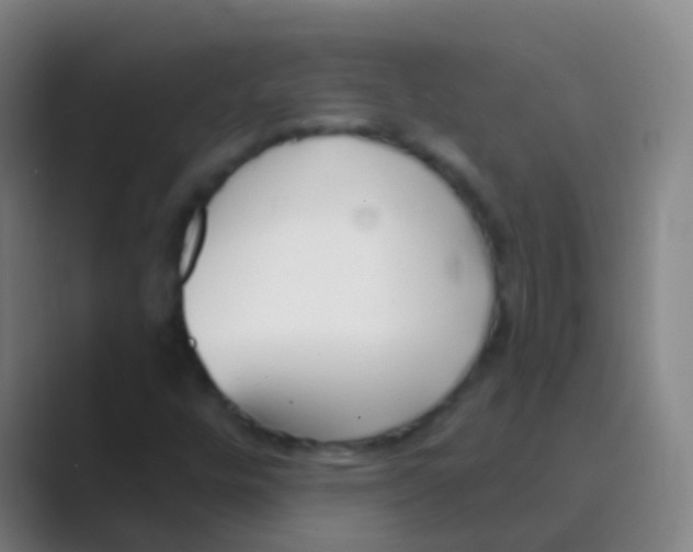 X0000088711448200706282033