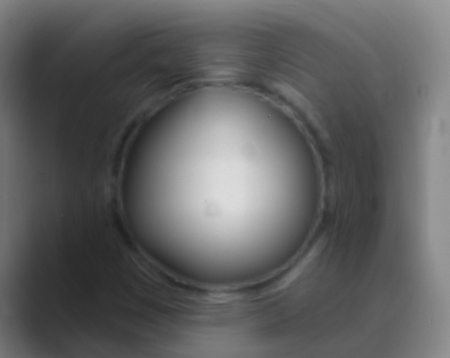 X0000088711449200706282033