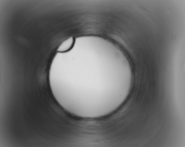 X0000088711450200706282033