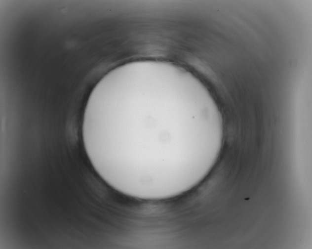 X0000088711451200706282033