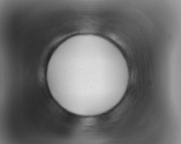 X0000088711454200706282033