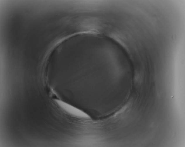 X0000088711455200706282033