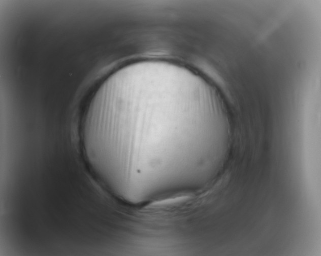 X0000088711456200706282033