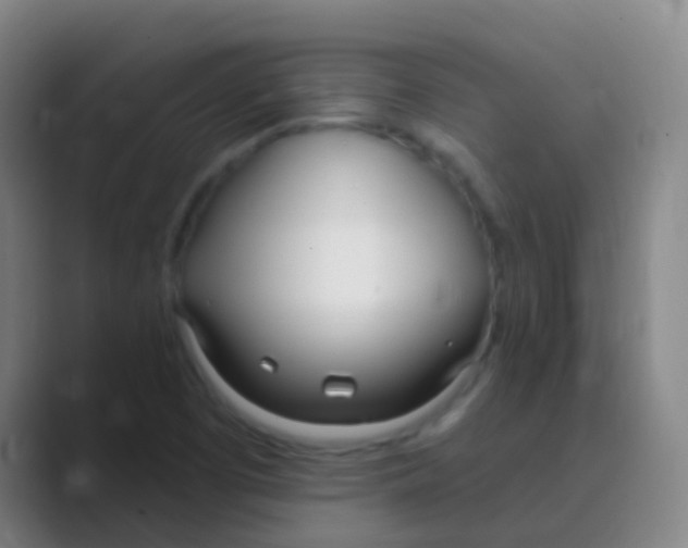 X0000088711457200706282033