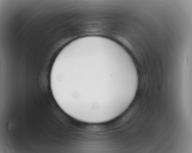 X0000088711458200706282033