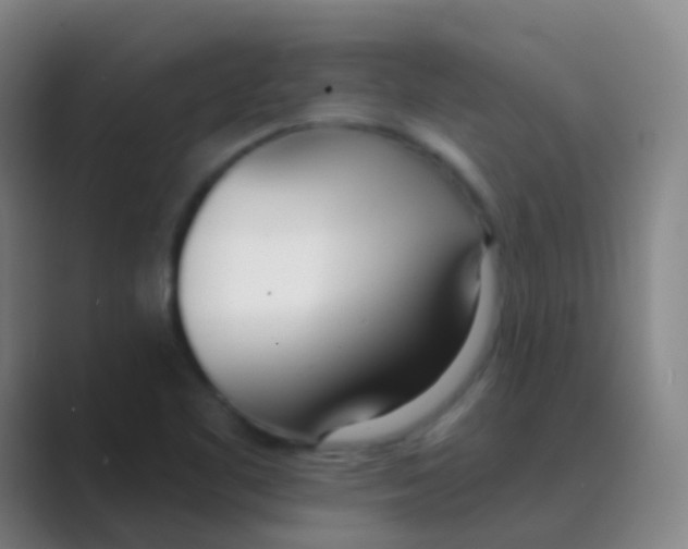 X0000088711461200706282033