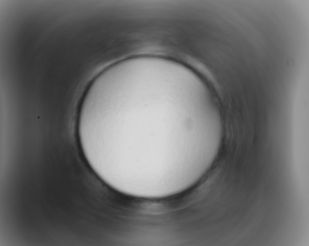 X0000088711463200706282033