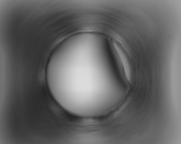 X0000088711465200706282033