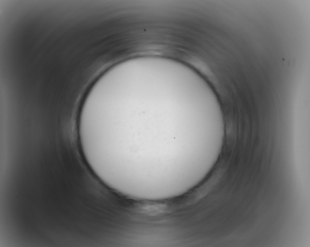 X0000088711466200706282033