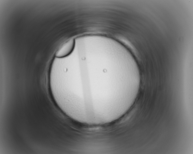 X0000088711467200706282033