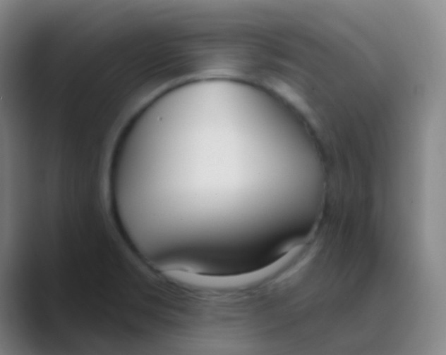 X0000088711469200706282033