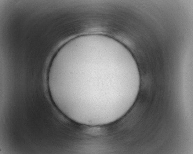 X0000088711470200706282033