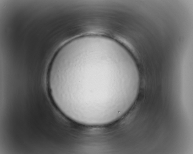 X0000088711471200706282033