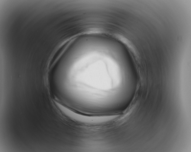 X0000088711473200706282033