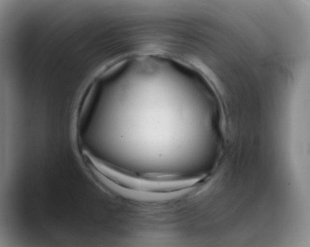 X0000088711477200706282033