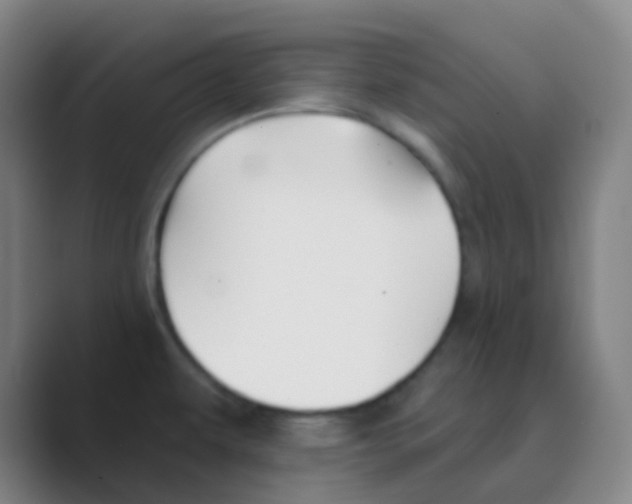 X0000088711479200706282033