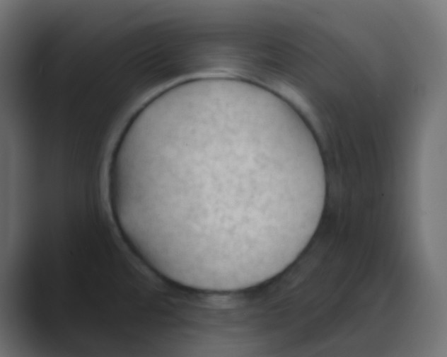 X0000088711480200706282033