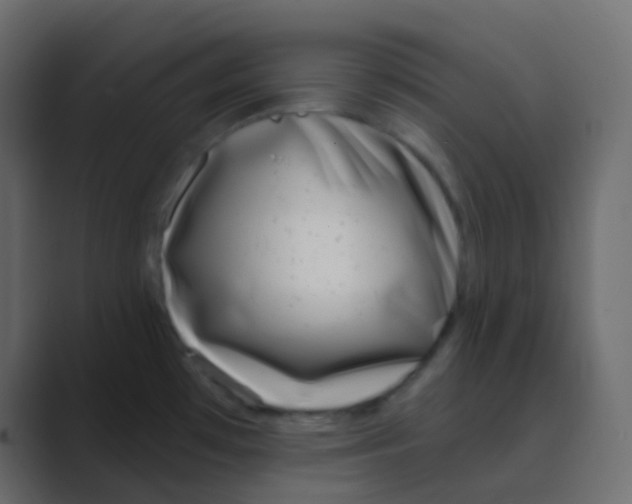 X0000088711481200706282033