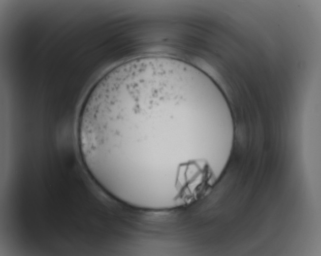 X0000088711482200706282033