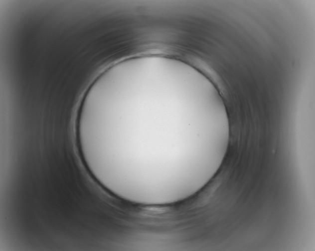 X0000088711483200706282033