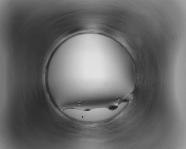 X0000088711484200706282033