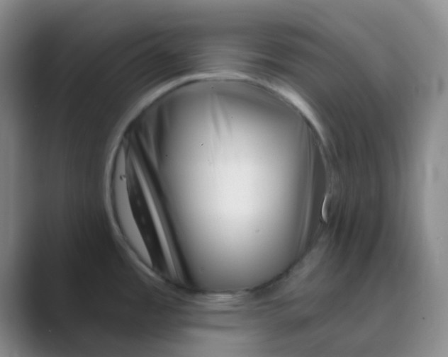 X0000088711485200706282033