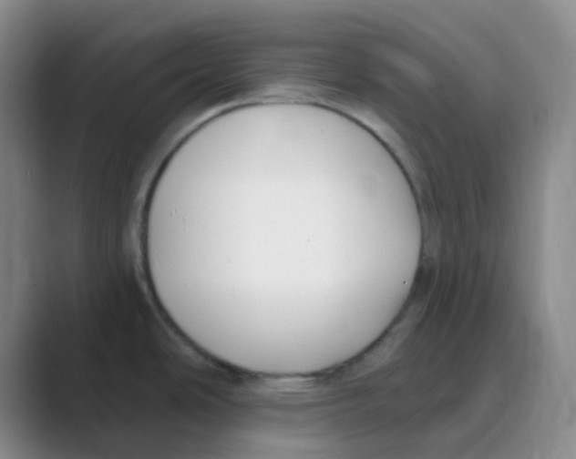 X0000088711486200706282033