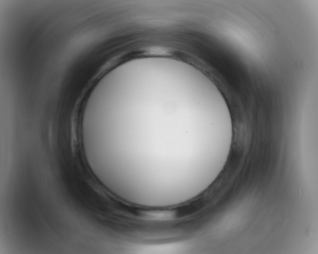 X0000088711487200706282033