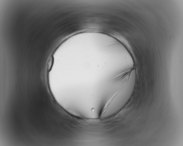 X0000088711488200706282033