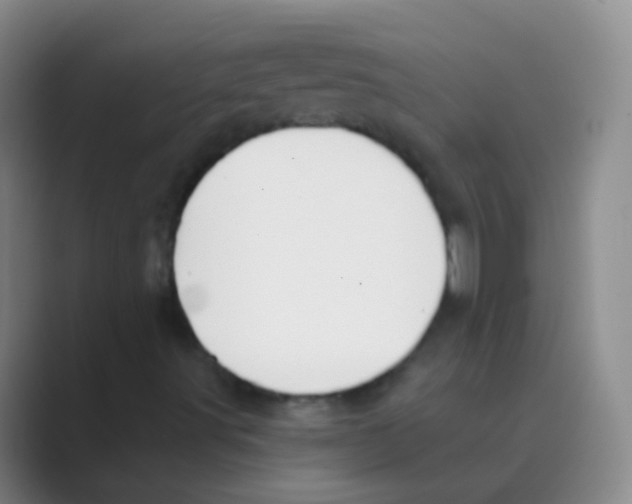 X0000088711491200706282032