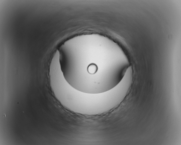 X0000088711496200706282032