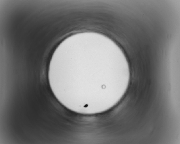 X0000088711498200706282032