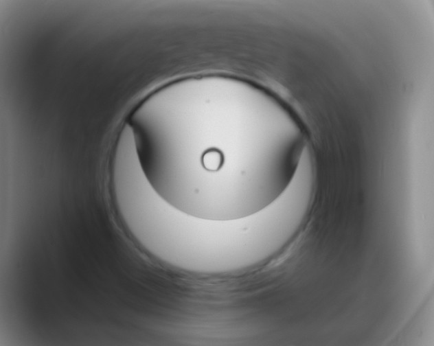 X0000088711500200706282032