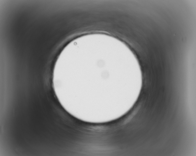 X0000088711502200706282032