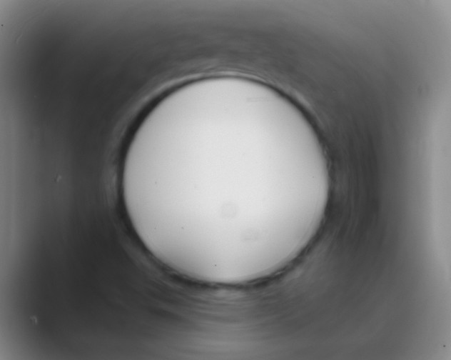 X0000088711503200706282032