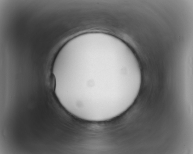 X0000088711504200706282032