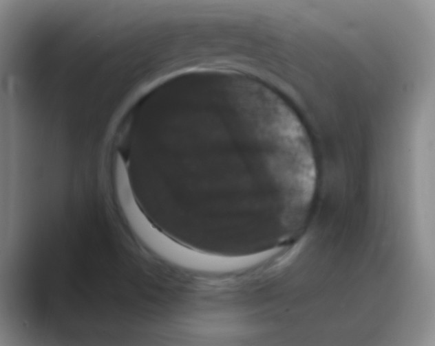 X0000088711506200706282033