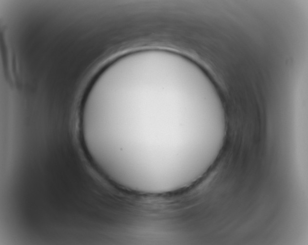 X0000088711511200706282033