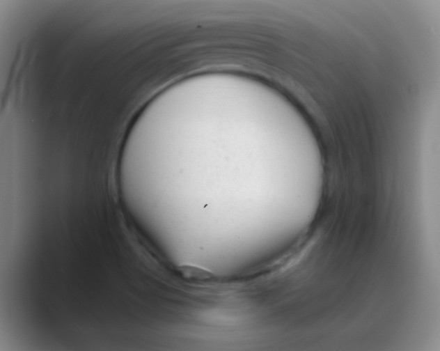 X0000088711513200706282033