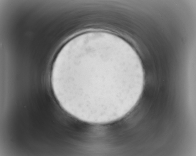 X0000088711514200706282033