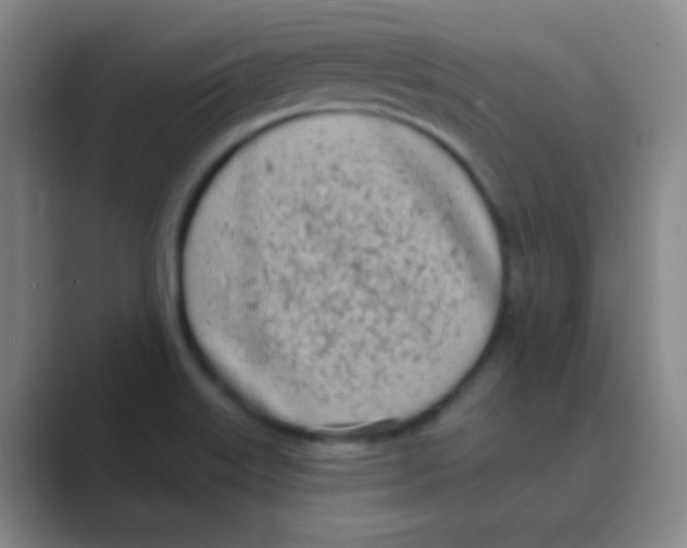 X0000088711515200706282033