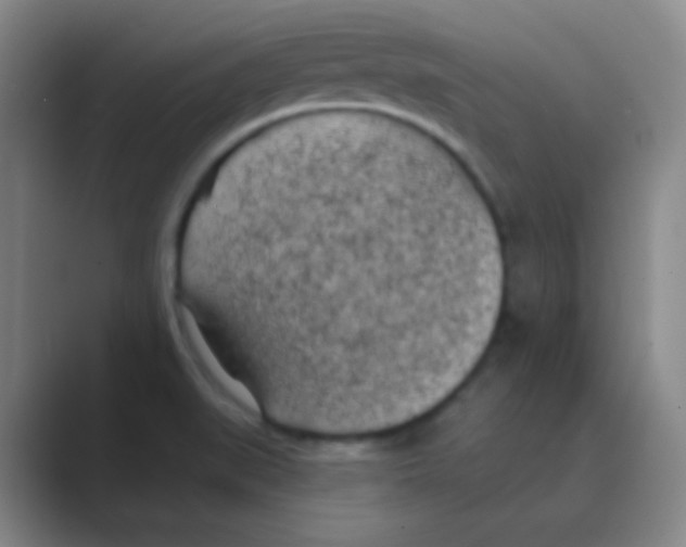 X0000088711519200706282033