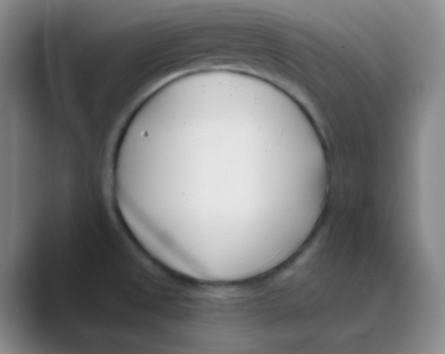 X0000088711525200706282033