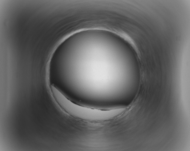 X0000088711528200706282033