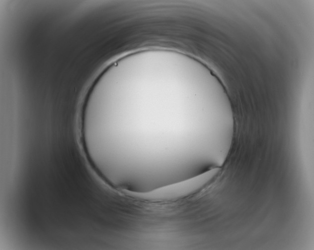 X0000088711531200706282033