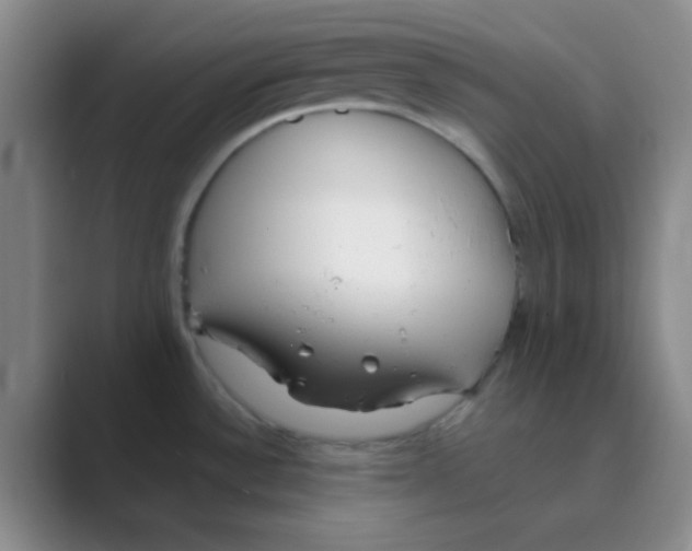 X0000088711532200706282033