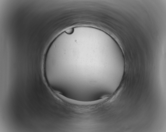 X0000088711533200706282033