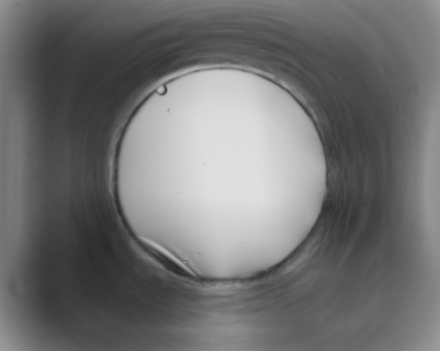 X0000088711535200706282033