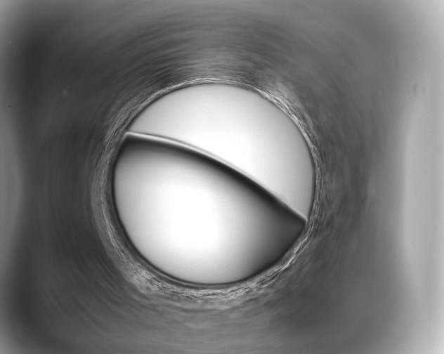 X0000088720001200705311105
